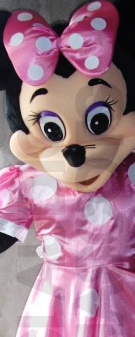 Chicago Costumed Characters