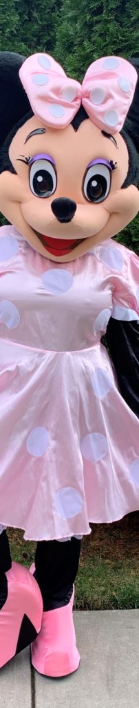 Chicago Costumed Characters