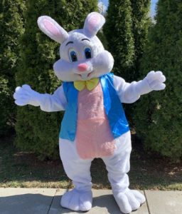 Chicago Easter Bunny Rentals