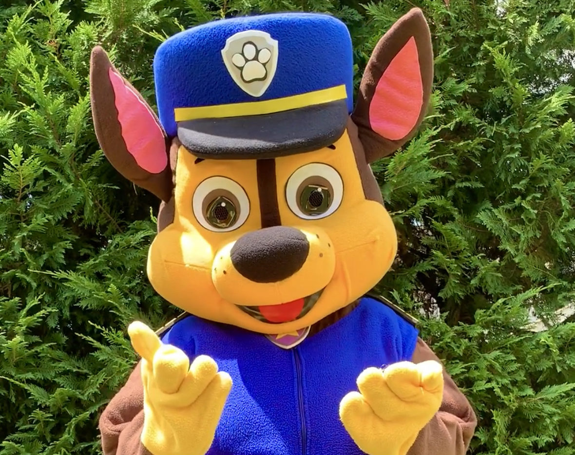 Chicago Costumed Characters